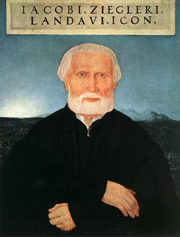HUBER, Wolf Portrait of Jacob Ziegler sf Spain oil painting art